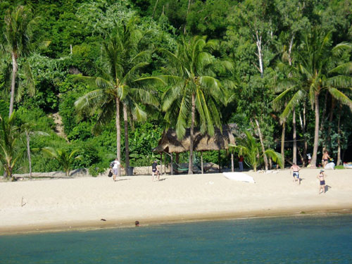 cham island tour