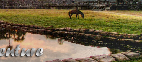 Cambodia Hotels