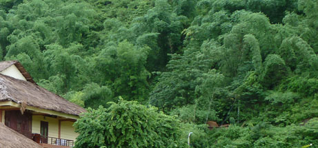Mai Chau homestay