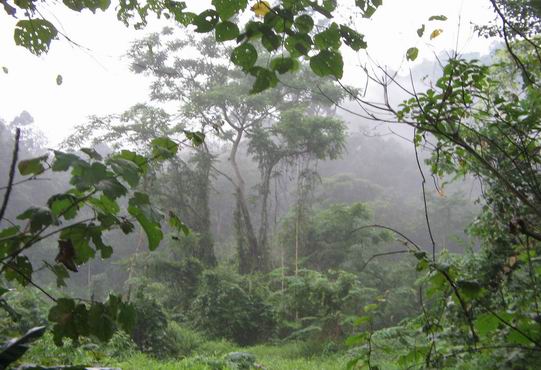 Cuc Phuong national park Vietnam